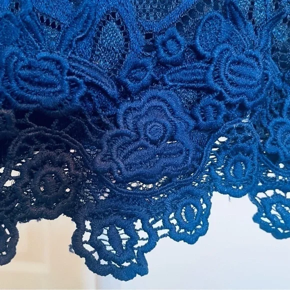 Francesca’s Blue Rain Navy Lace Mini Dress - Picture 13 of 16